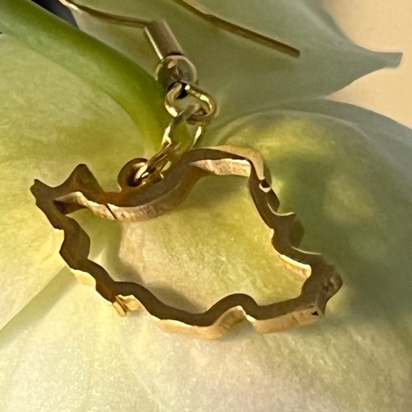 IRAN MAP Earrings - Picture 5 of 6